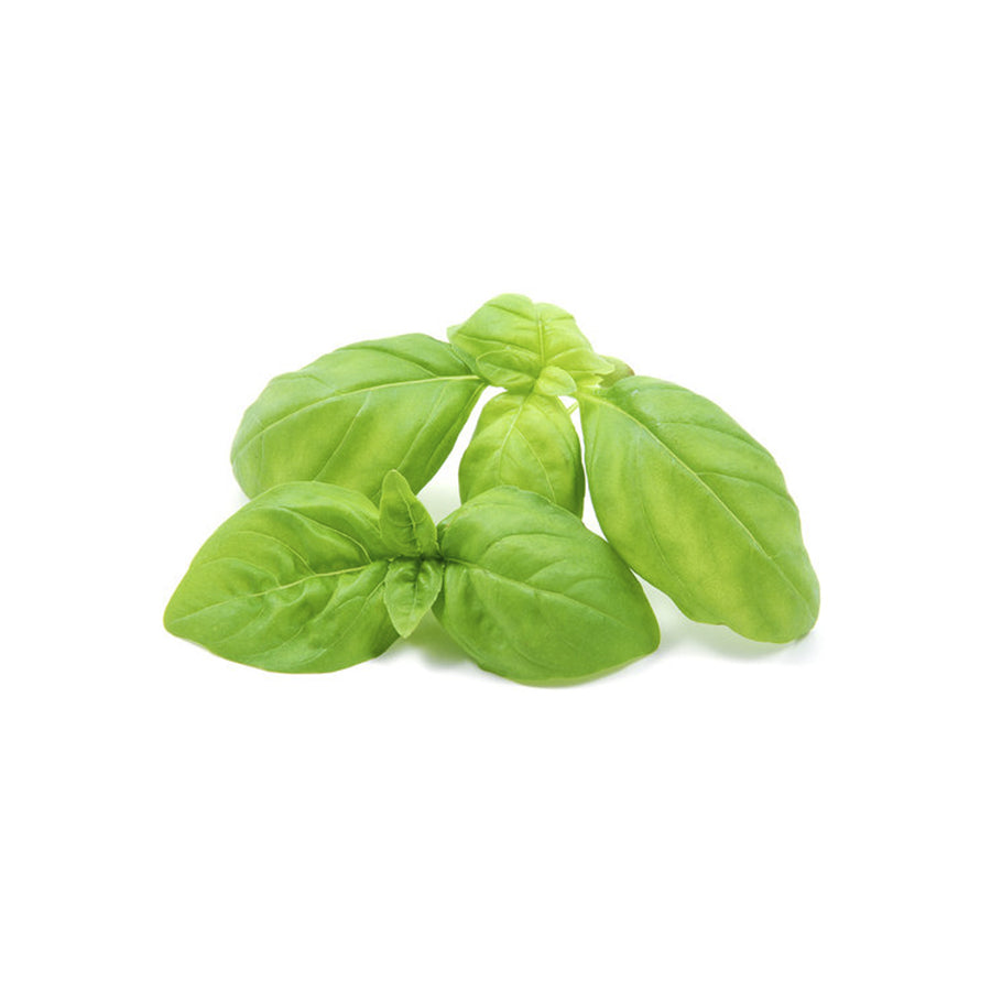 Basilico