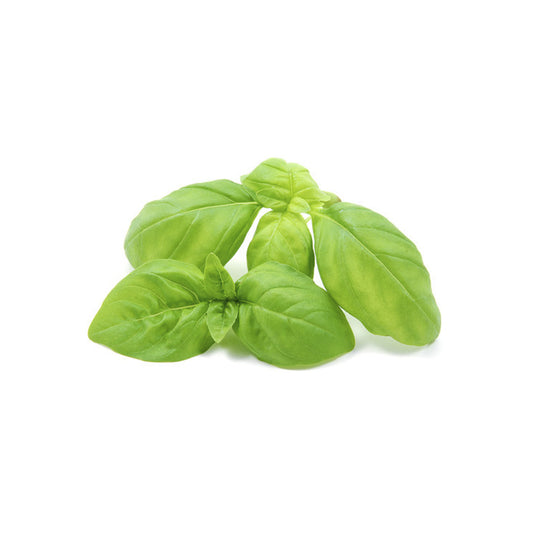 Basilico