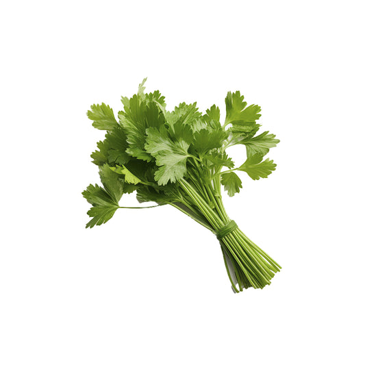 Prezzemolo