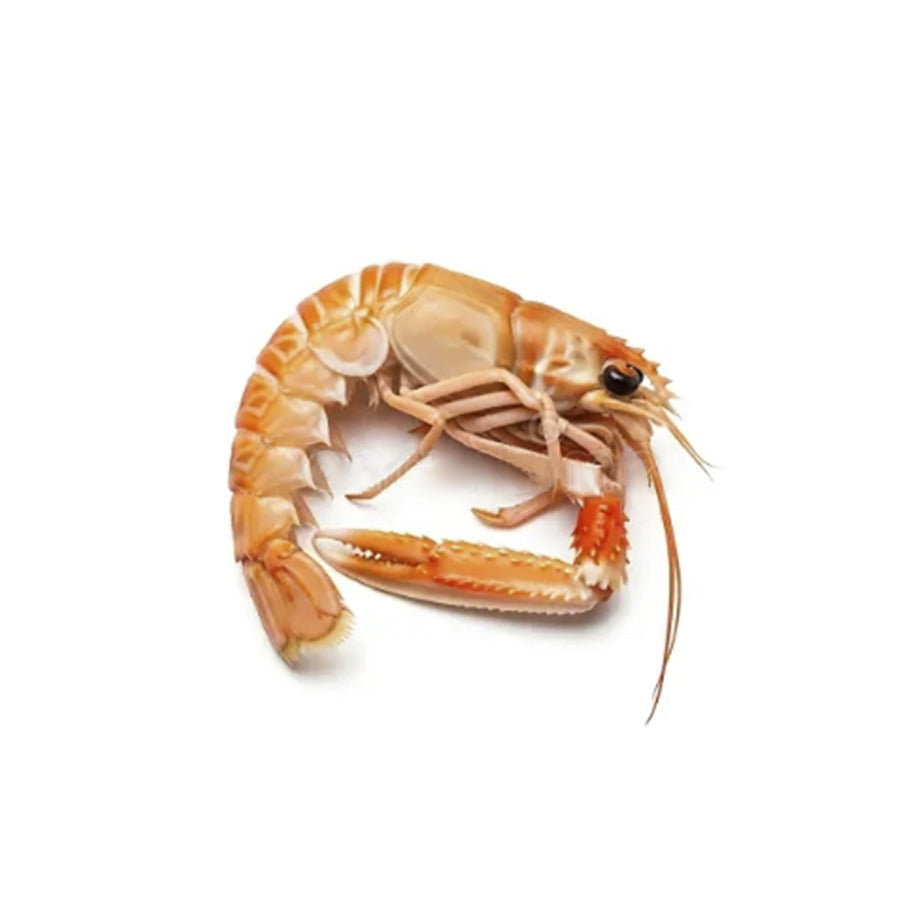 Scampi Sardi