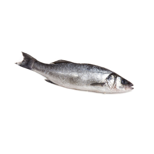 Spigola