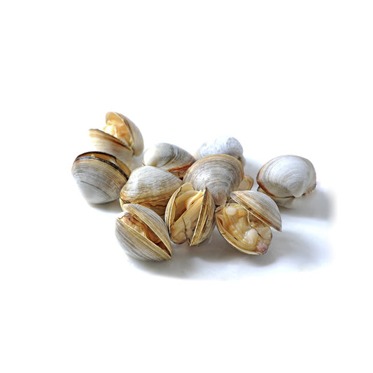Vongole
